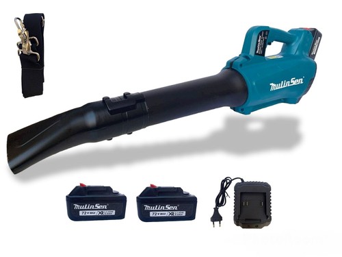Soffiatore batteria per - soffiatore,