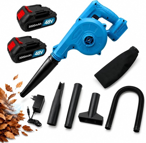 Soffiatore batteria 1 - batteria, 2